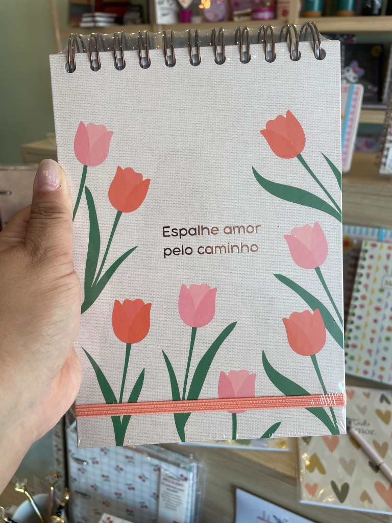 Caderno de ideias